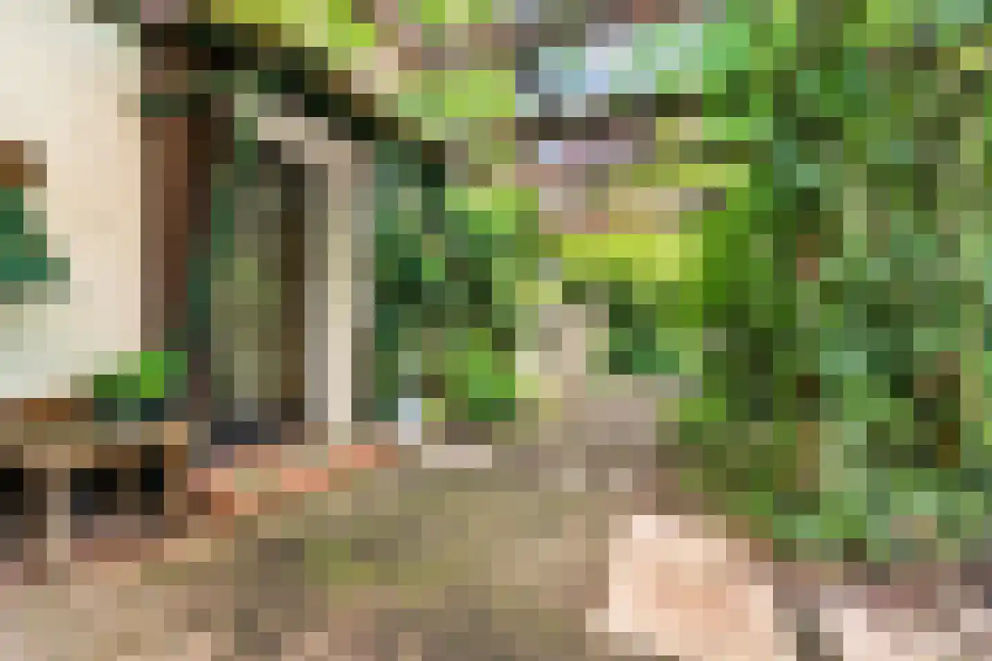 Beelaertslaan 12 Oosterbeek thumbnail 6