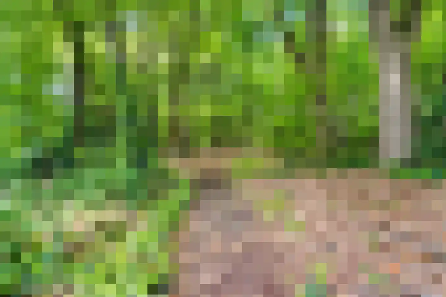 Beelaertslaan 12 Oosterbeek thumbnail 60