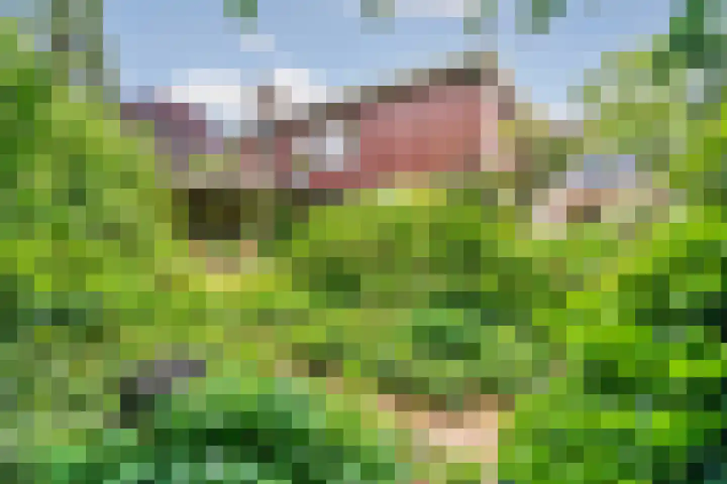Beelaertslaan 12 Oosterbeek thumbnail 62