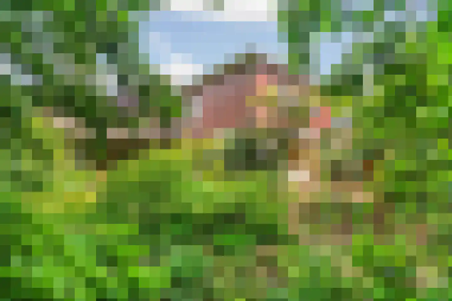 Beelaertslaan 12 Oosterbeek thumbnail 63