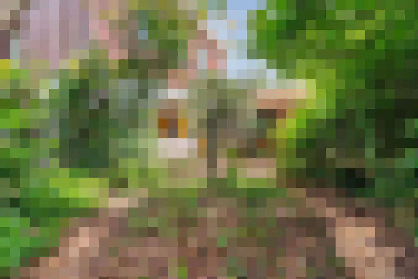 Beelaertslaan 12 Oosterbeek thumbnail 64