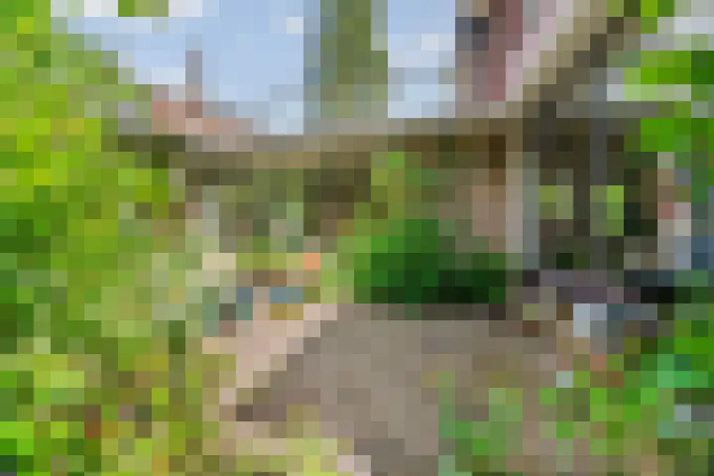 Beelaertslaan 12 Oosterbeek thumbnail 65
