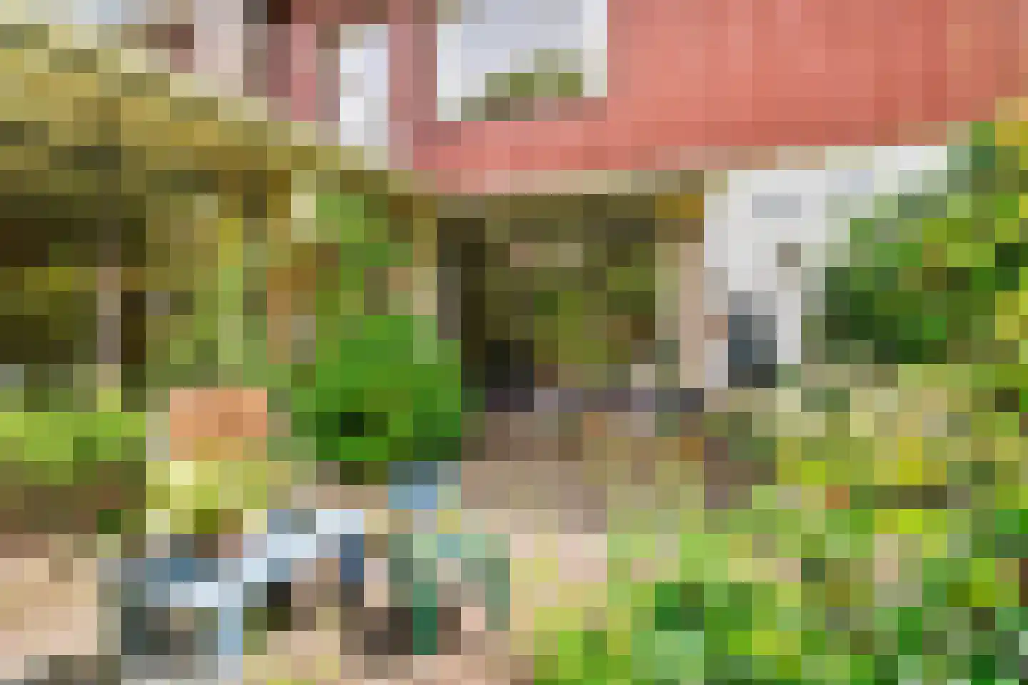 Beelaertslaan 12 Oosterbeek thumbnail 67