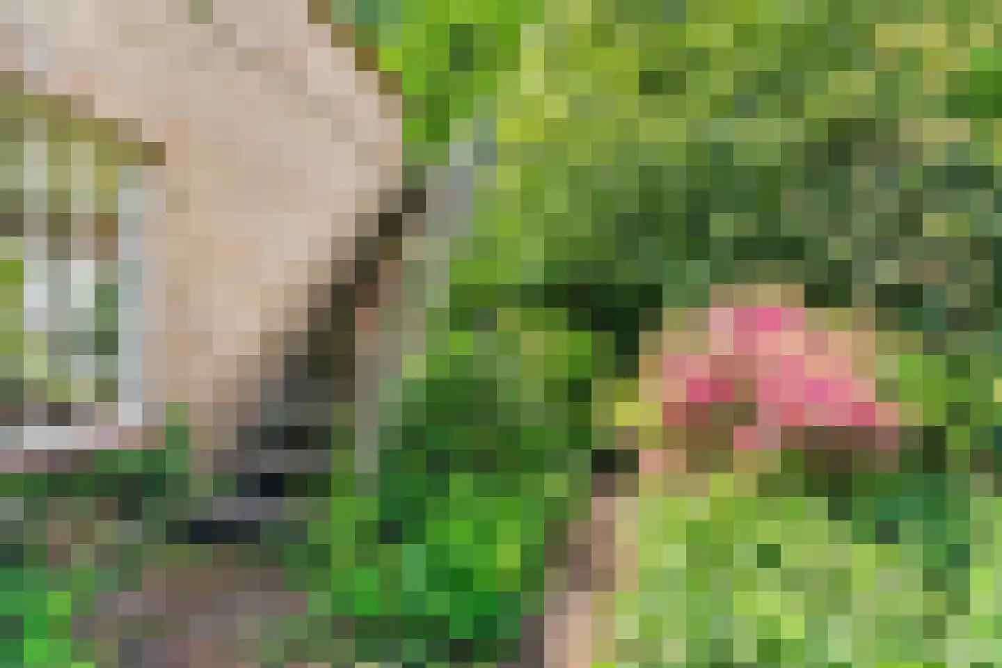Beelaertslaan 12 Oosterbeek thumbnail 69
