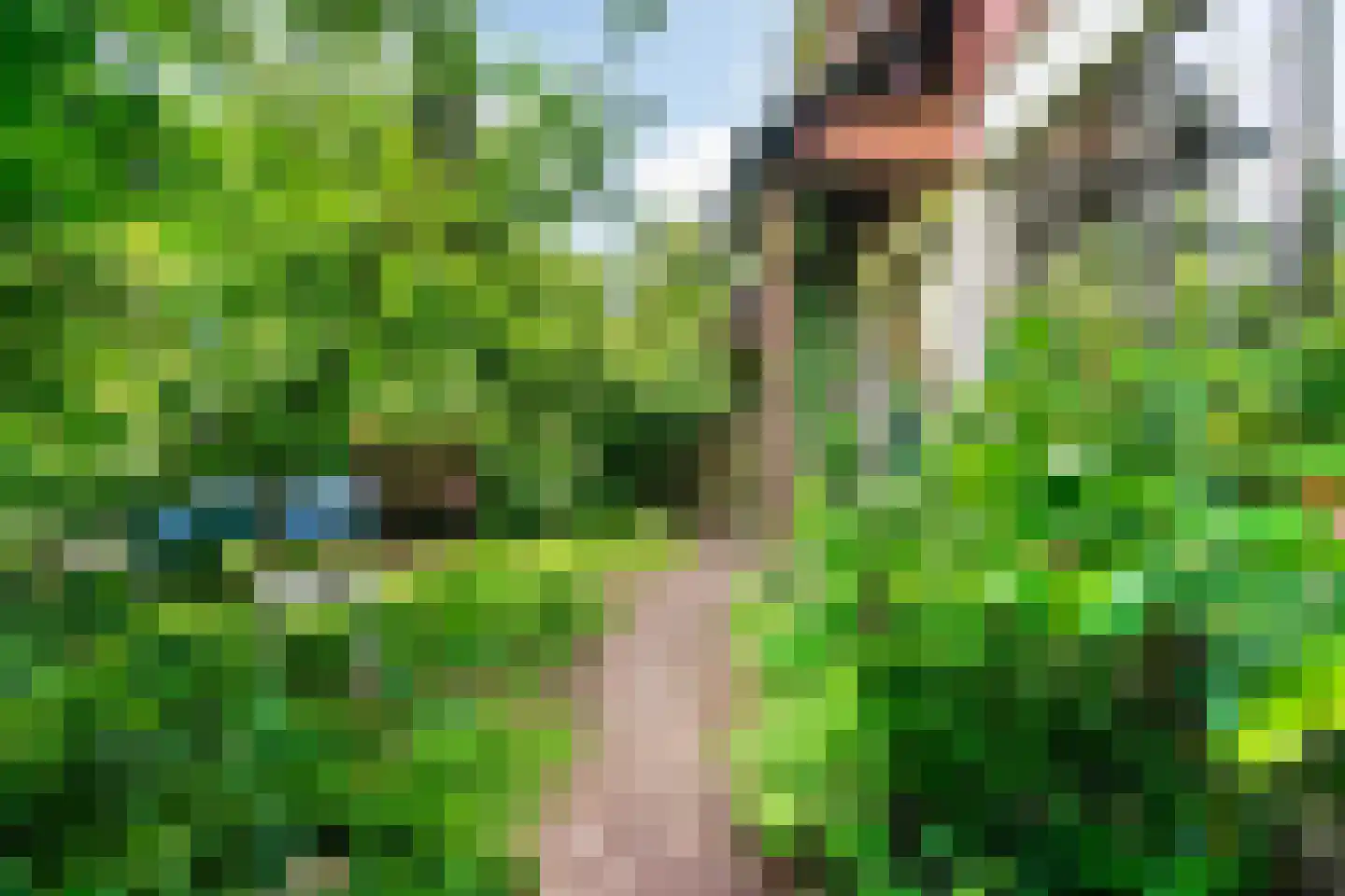 Beelaertslaan 12 Oosterbeek thumbnail 70