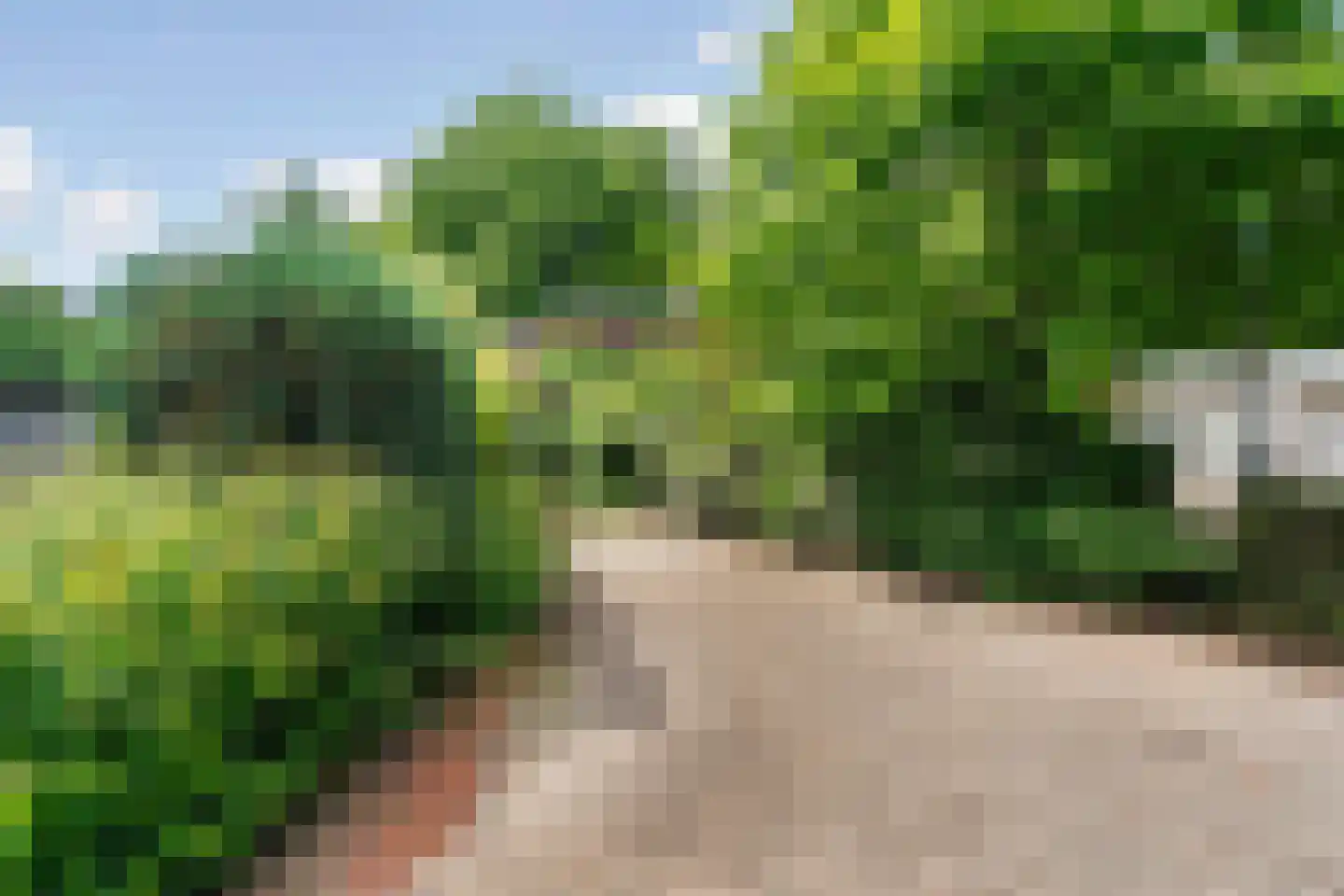Beelaertslaan 12 Oosterbeek thumbnail 72