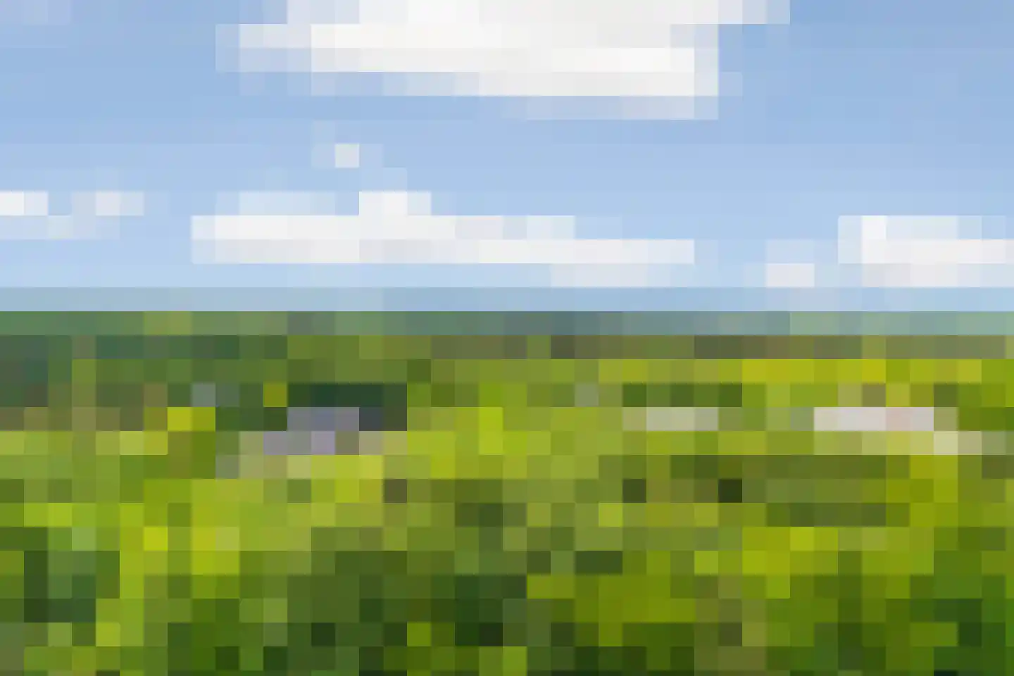 Beelaertslaan 12 Oosterbeek thumbnail 75