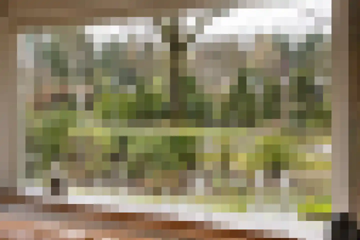 Beelaertslaan 25 Oosterbeek thumbnail 11