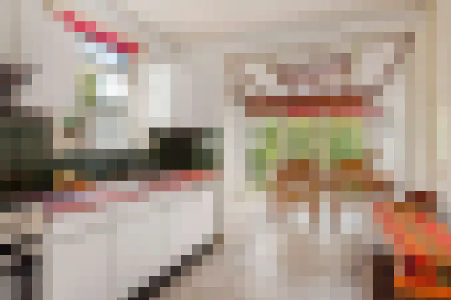 Beelaertslaan 25 Oosterbeek thumbnail 25