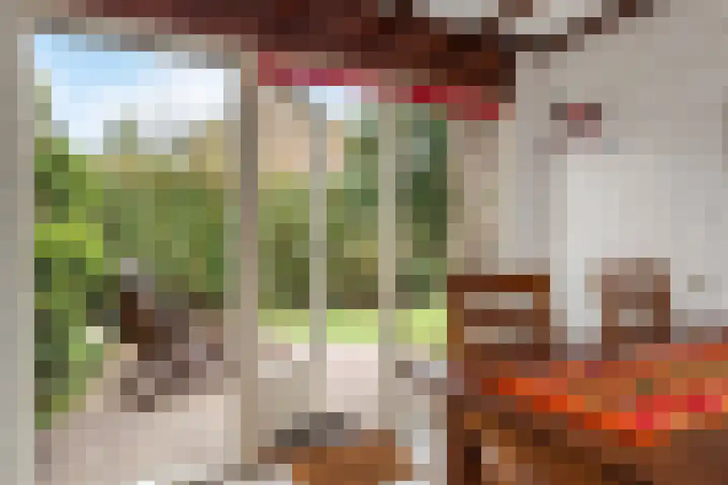 Beelaertslaan 25 Oosterbeek thumbnail 28