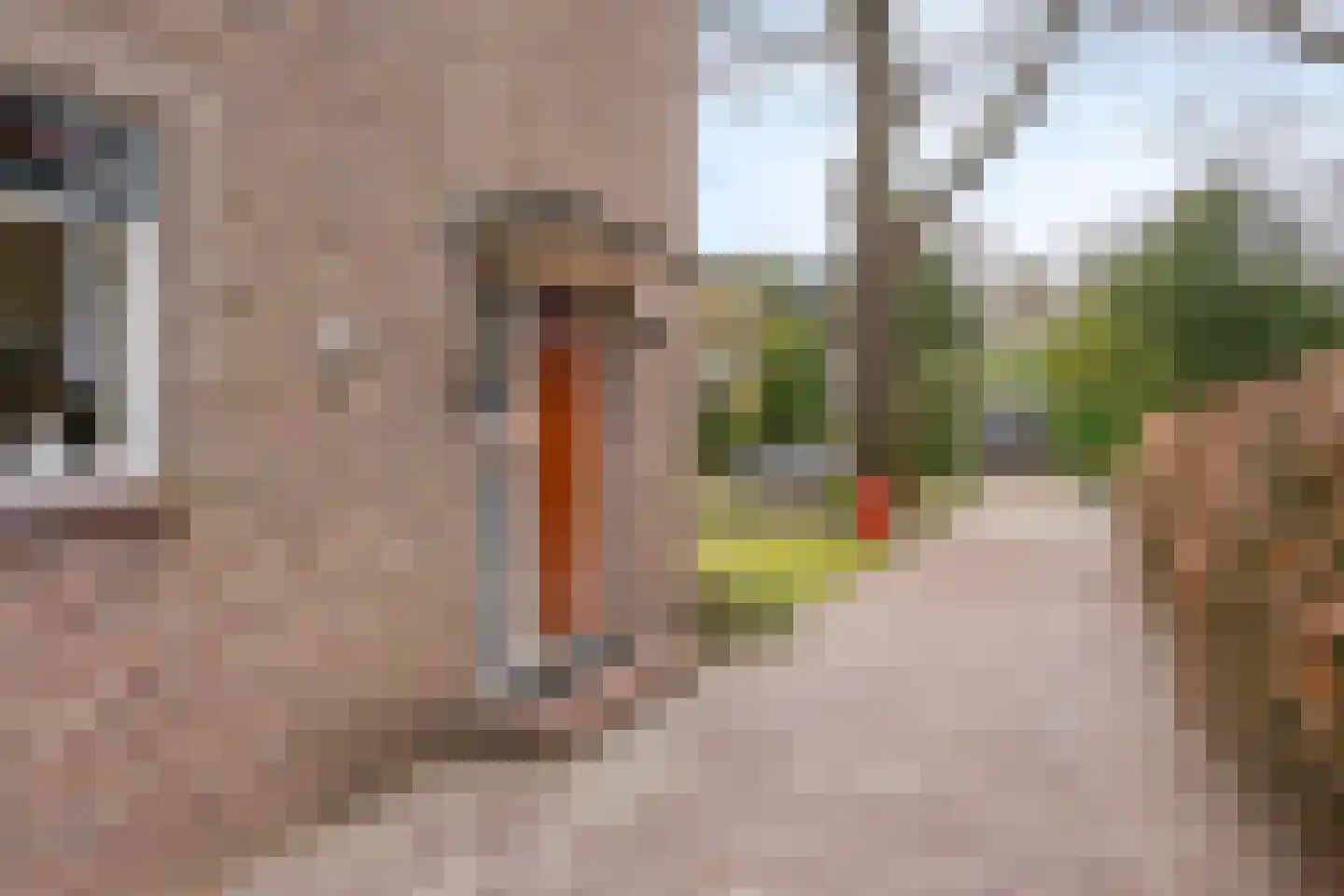 Beelaertslaan 25 Oosterbeek thumbnail 4