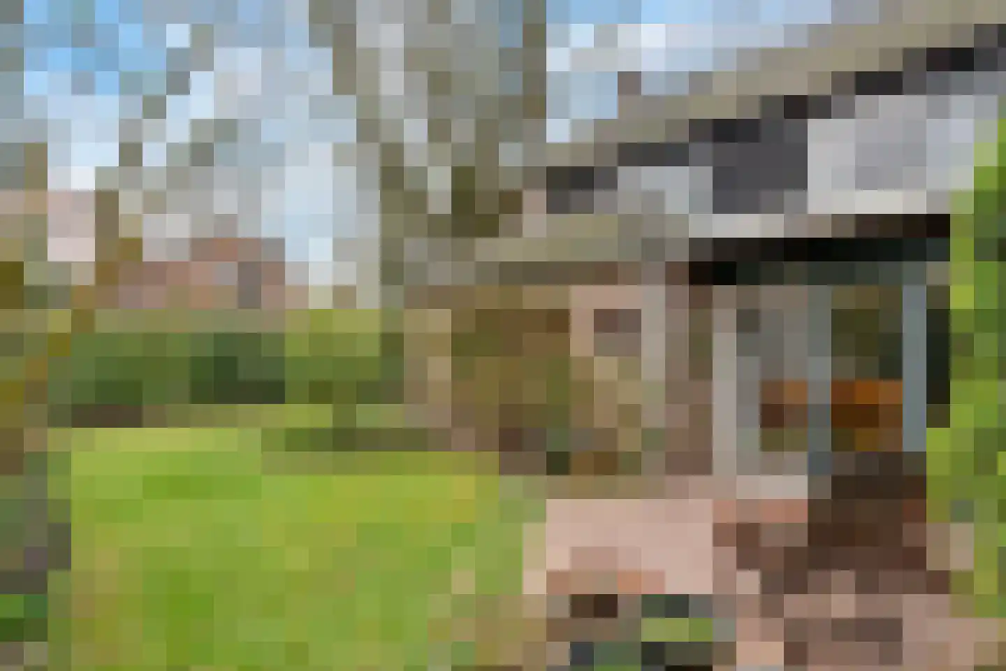 Beelaertslaan 25 Oosterbeek thumbnail 55