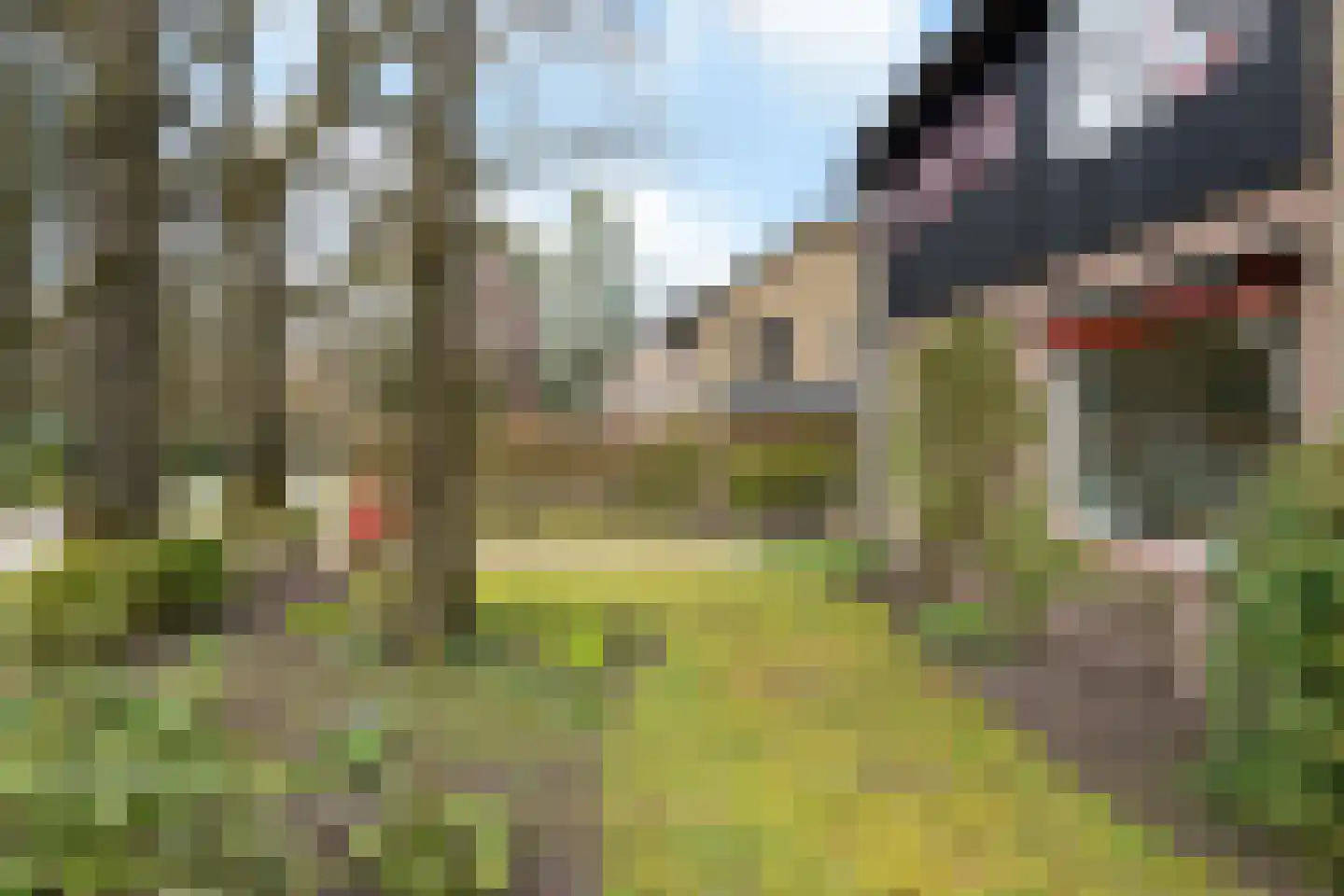 Beelaertslaan 25 Oosterbeek thumbnail 59