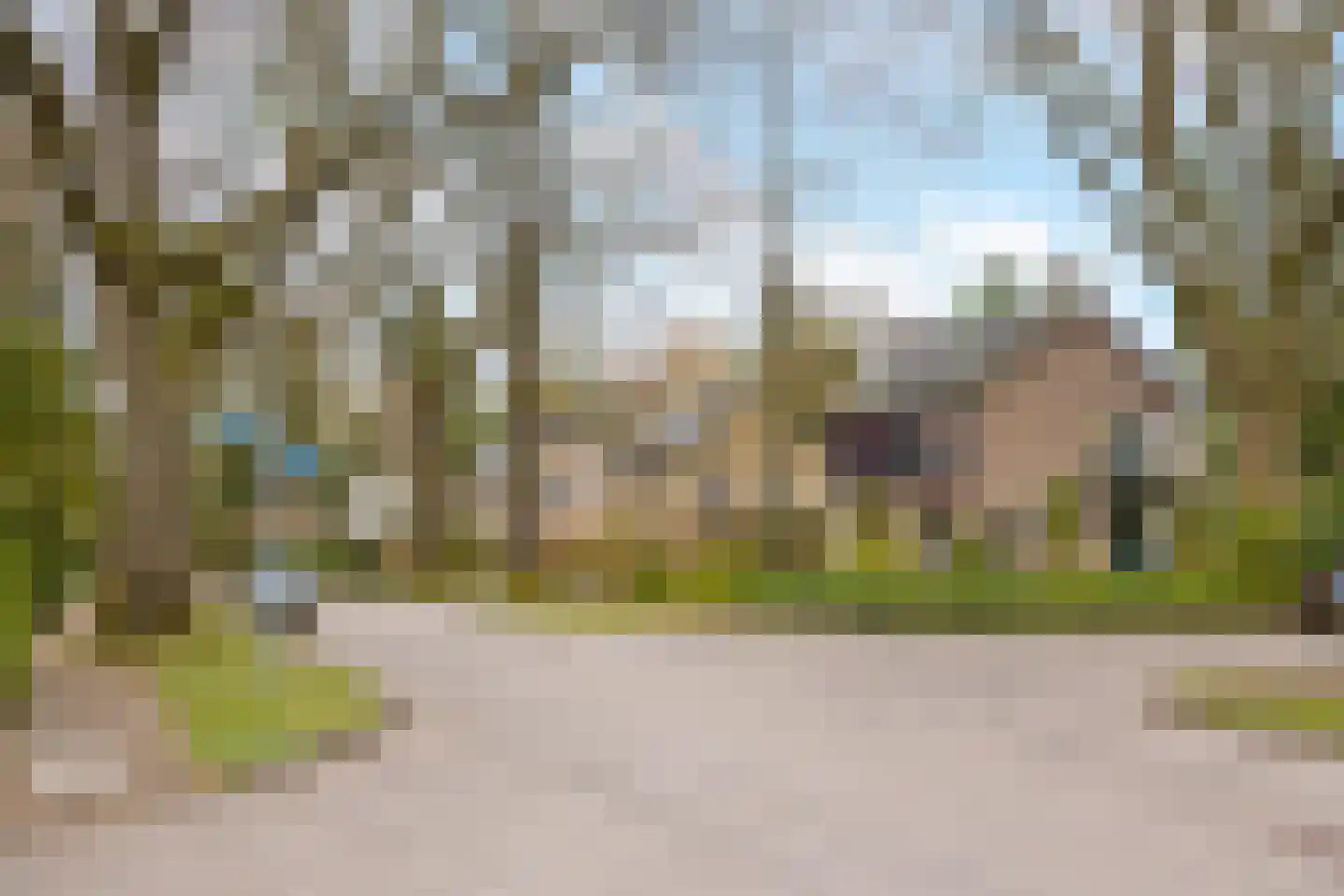 Beelaertslaan 25 Oosterbeek thumbnail 62