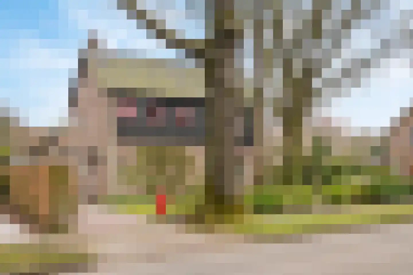 Beelaertslaan 25 Oosterbeek thumbnail 63