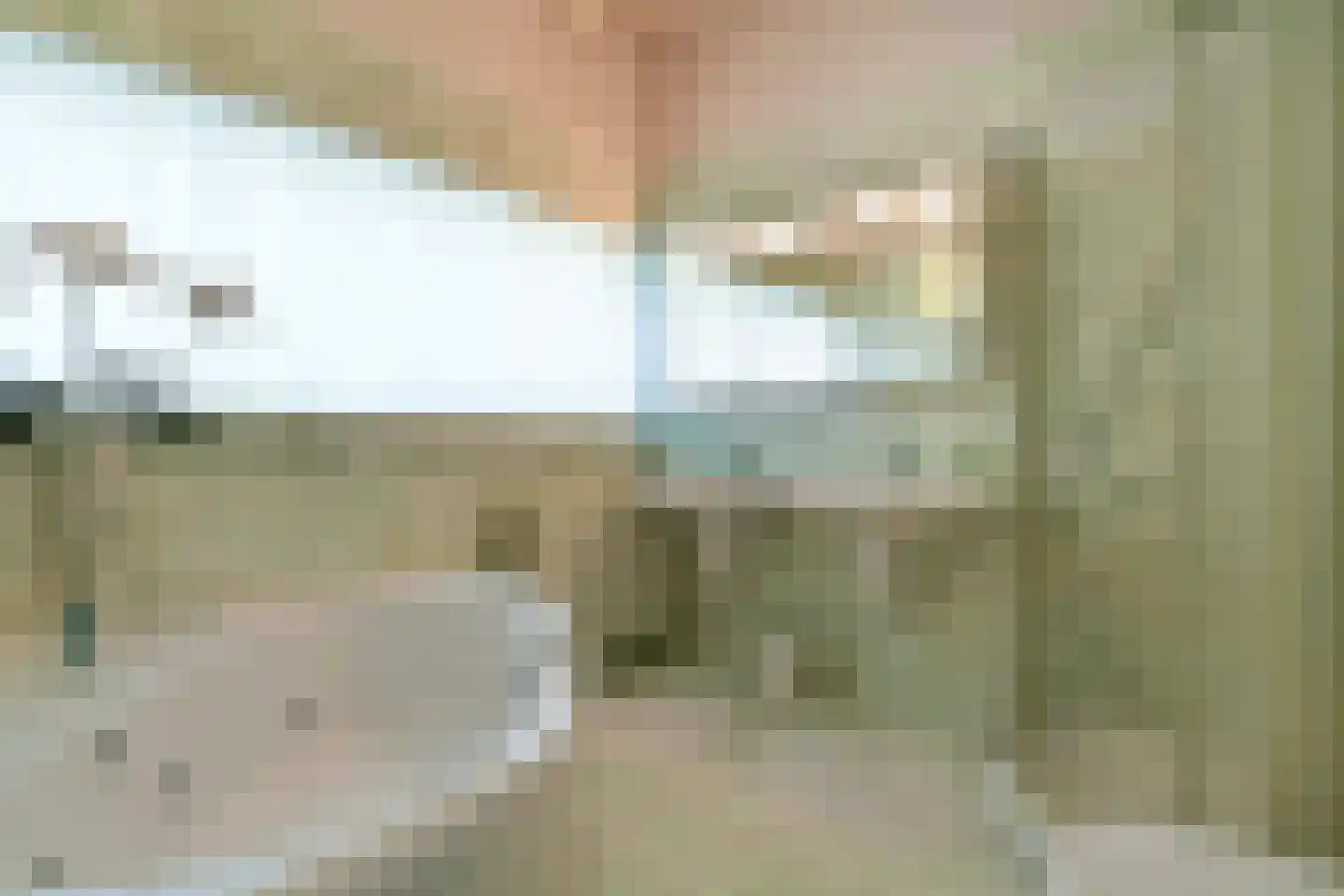 Beelaertslaan 36 Oosterbeek thumbnail 20