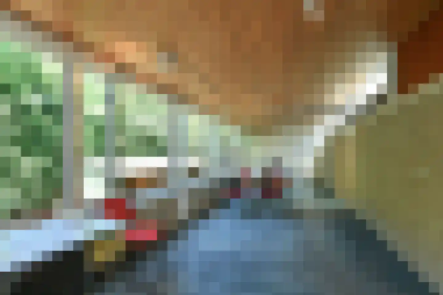 Beelaertslaan 36 Oosterbeek thumbnail 32