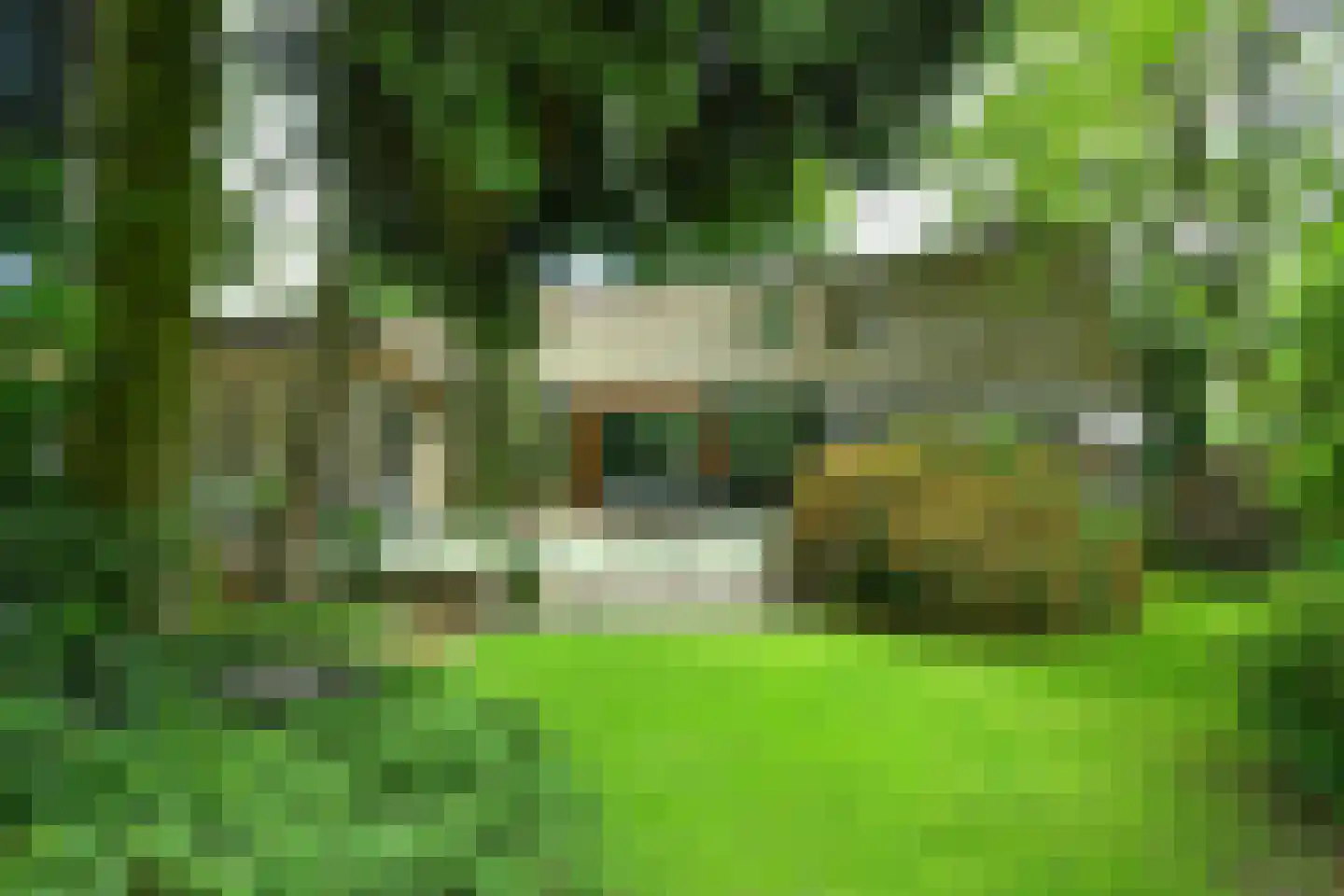 Beelaertslaan 36 Oosterbeek thumbnail 35
