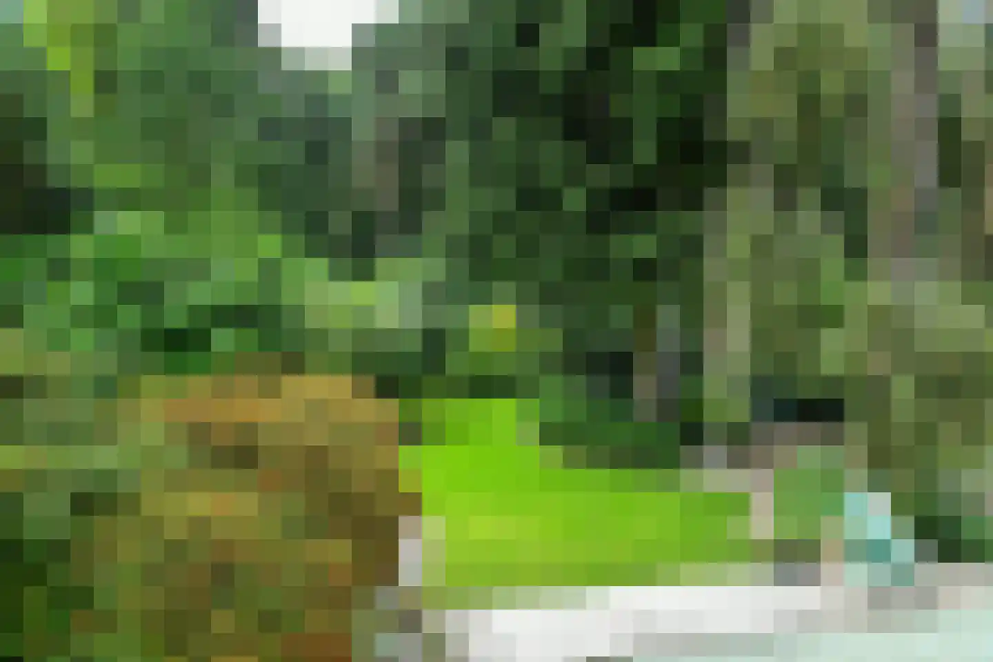 Beelaertslaan 36 Oosterbeek thumbnail 38