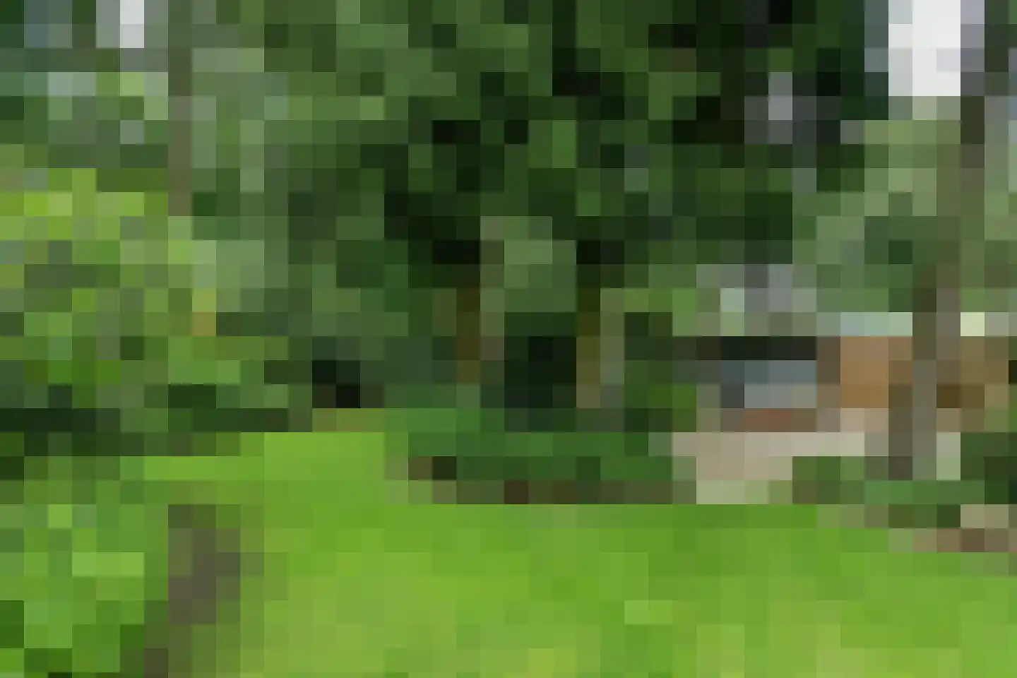 Beelaertslaan 36 Oosterbeek thumbnail 39