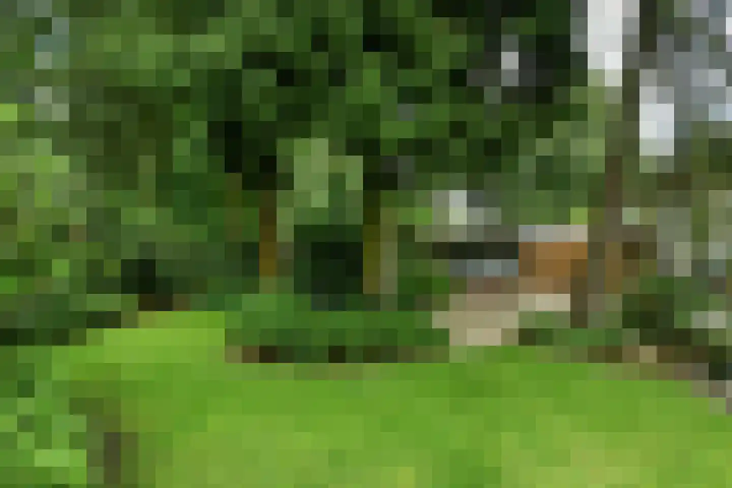 Beelaertslaan 36 Oosterbeek thumbnail 40