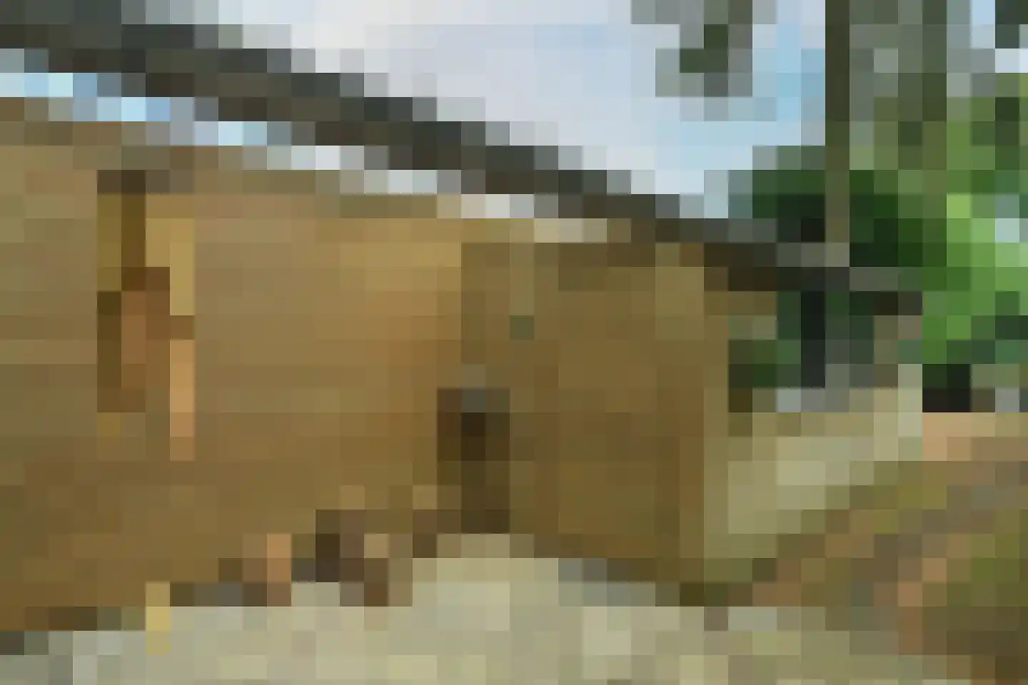 Beelaertslaan 36 Oosterbeek thumbnail 41