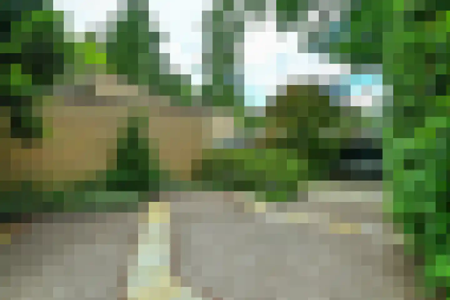 Beelaertslaan 36 Oosterbeek thumbnail 43