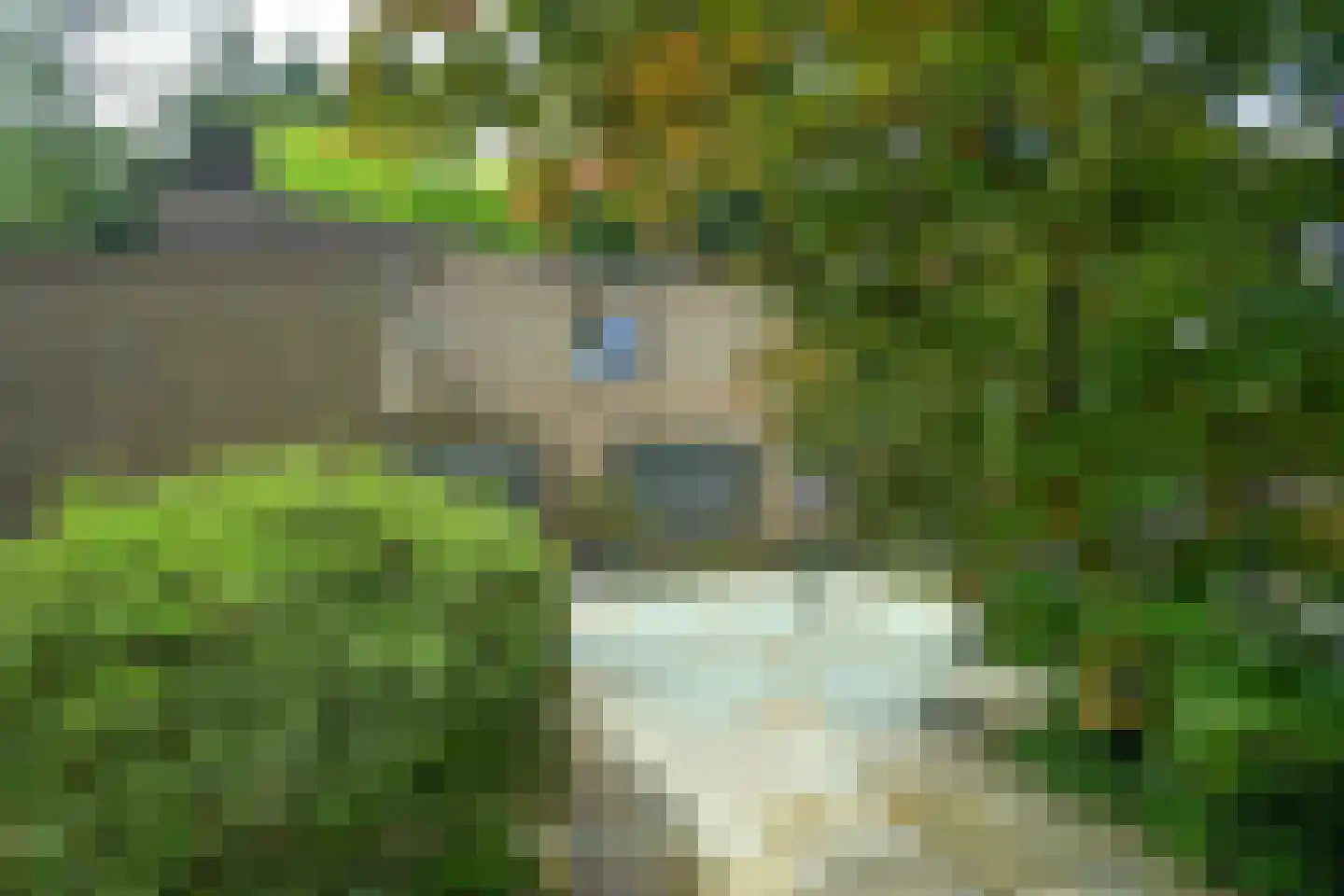 Beelaertslaan 36 Oosterbeek thumbnail 44