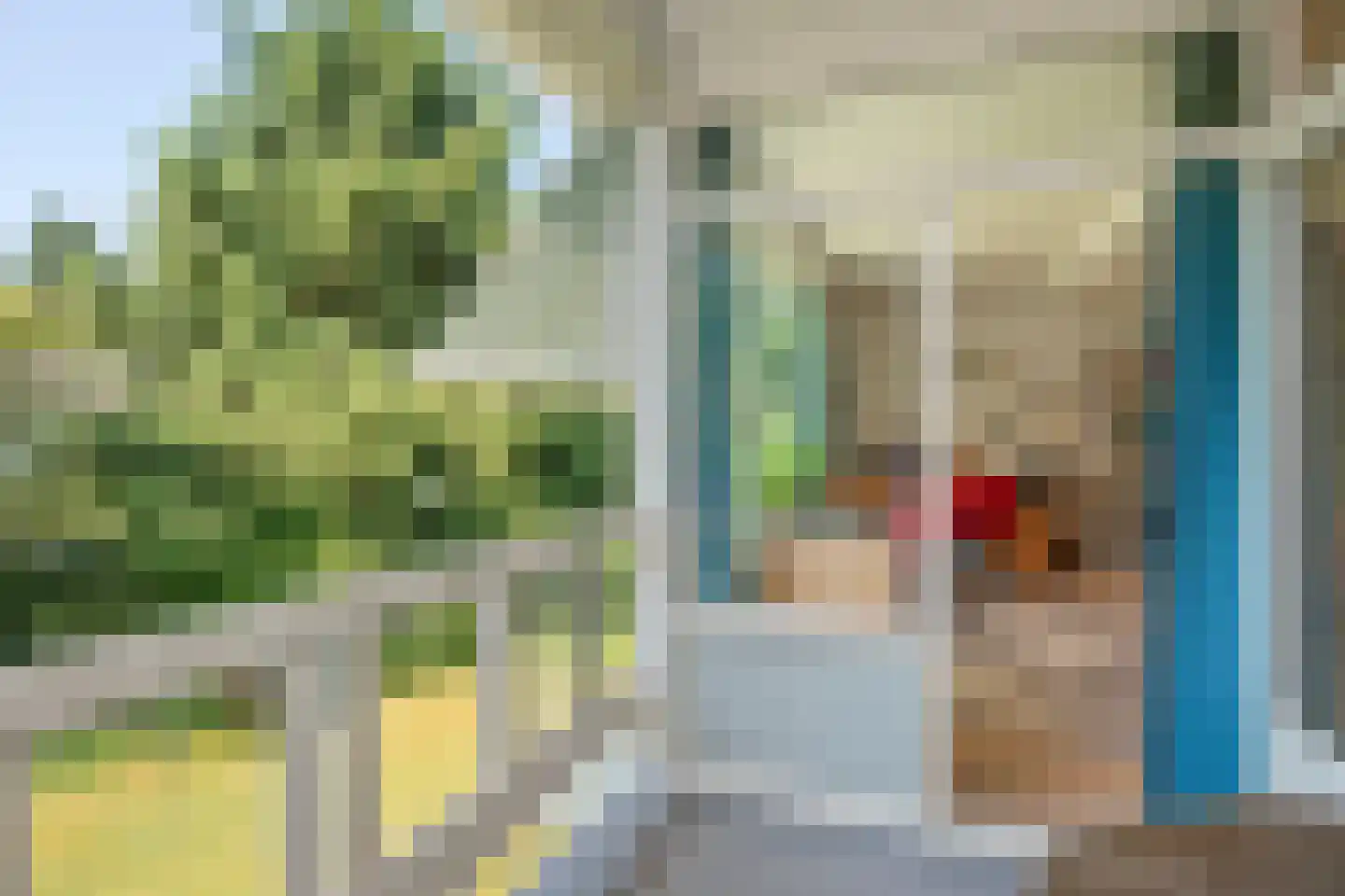 Beelaertslaan 47 Oosterbeek thumbnail 37