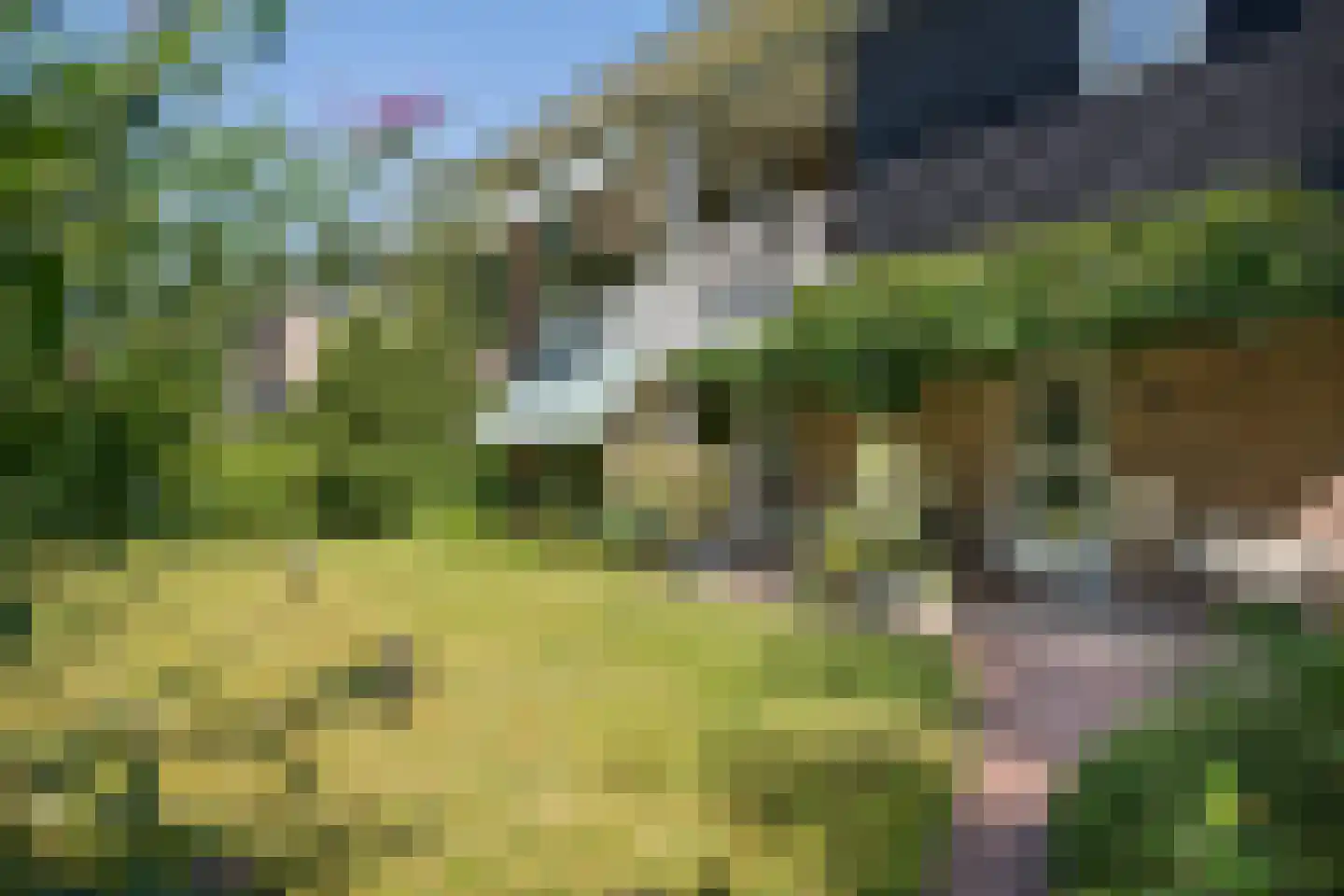Beelaertslaan 47 Oosterbeek thumbnail 39