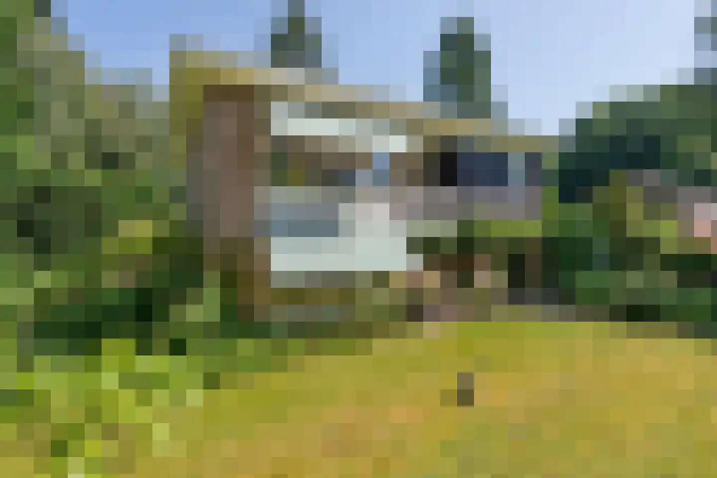 Beelaertslaan 47 Oosterbeek thumbnail 4