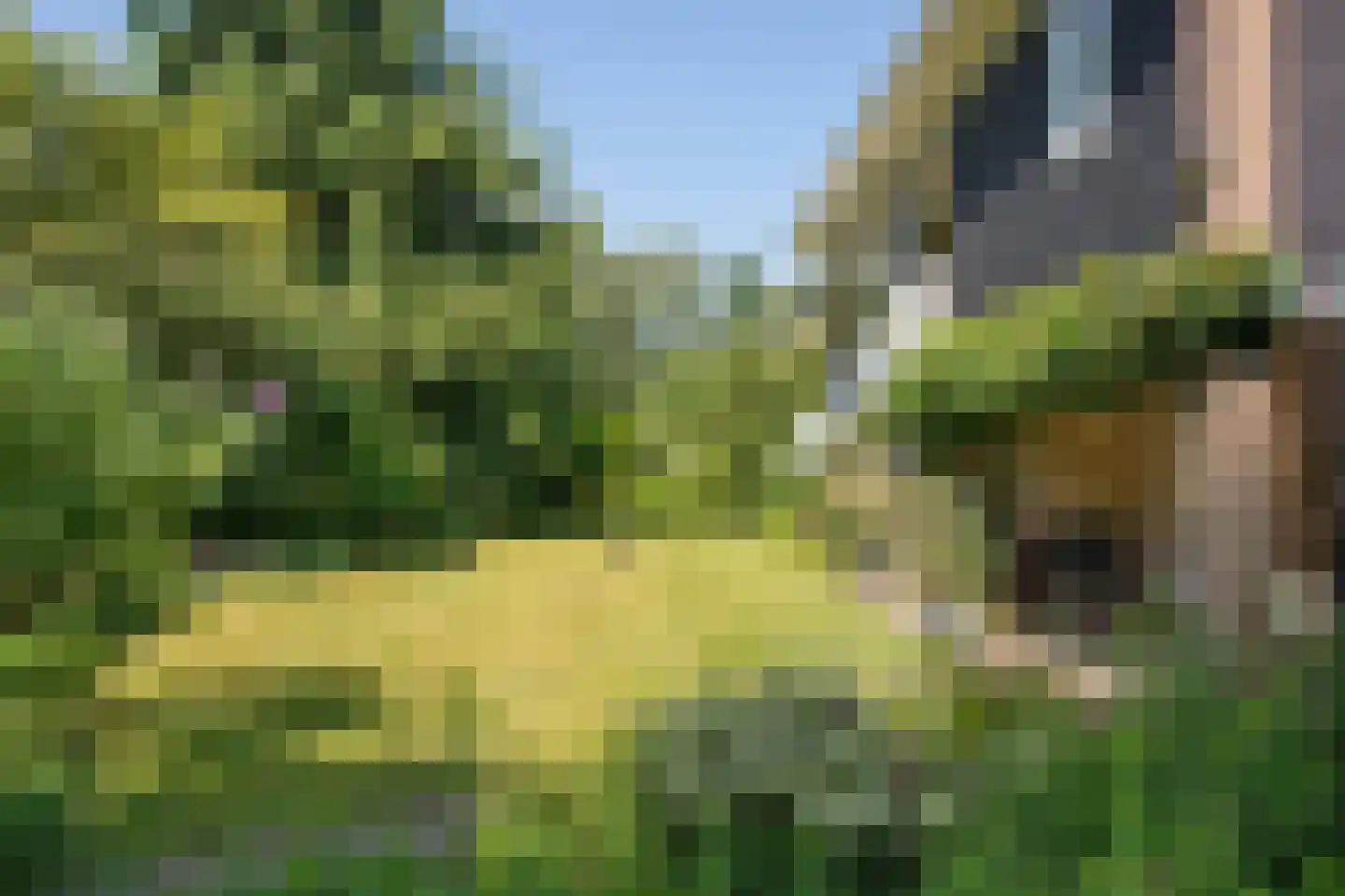 Beelaertslaan 47 Oosterbeek thumbnail 40