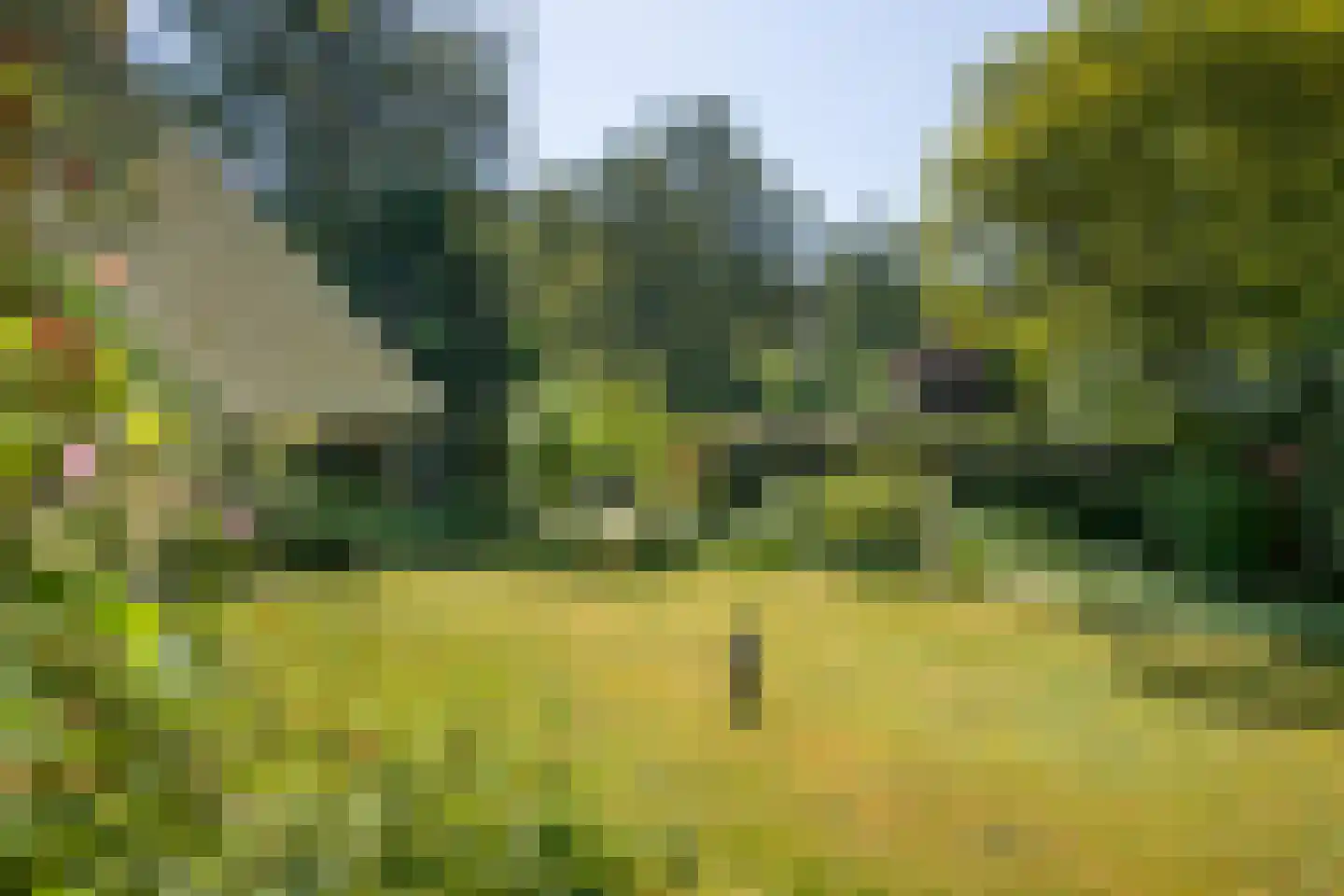 Beelaertslaan 47 Oosterbeek thumbnail 41