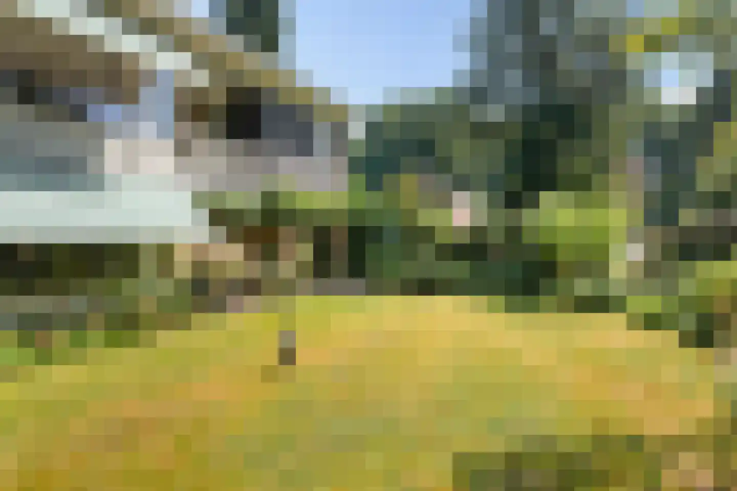 Beelaertslaan 47 Oosterbeek thumbnail 42
