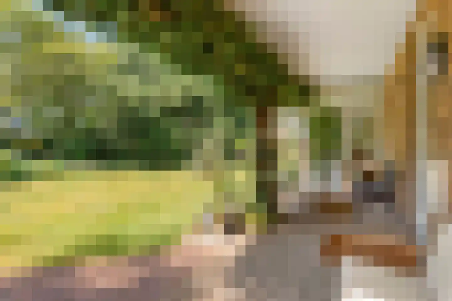 Beelaertslaan 47 Oosterbeek thumbnail 45