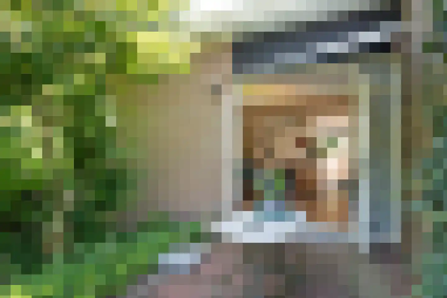 Beelaertslaan 47 Oosterbeek thumbnail 46