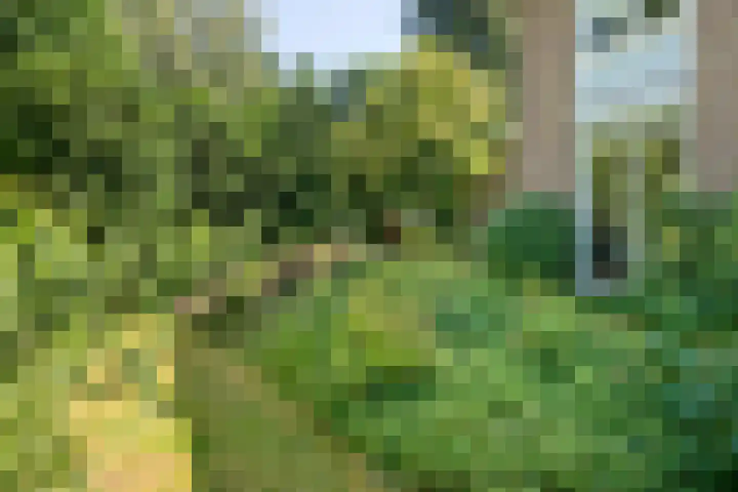 Beelaertslaan 47 Oosterbeek thumbnail 47