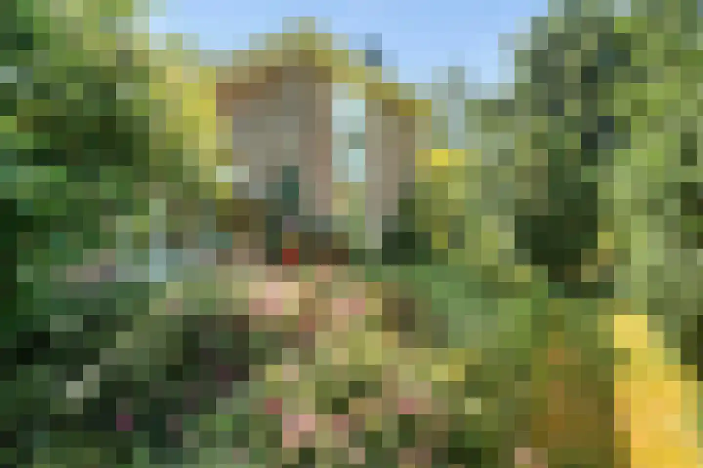 Beelaertslaan 47 Oosterbeek thumbnail 48