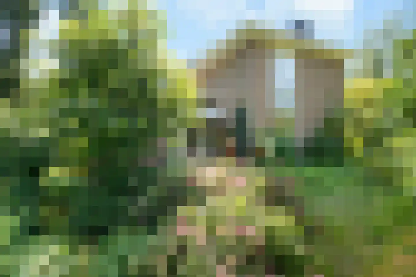 Beelaertslaan 47 Oosterbeek thumbnail 49