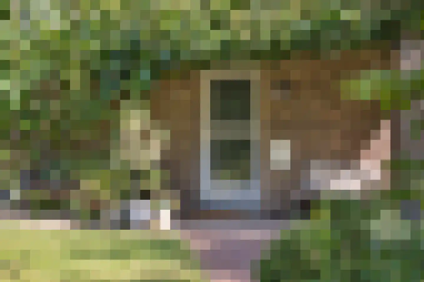 Beelaertslaan 47 Oosterbeek thumbnail 5