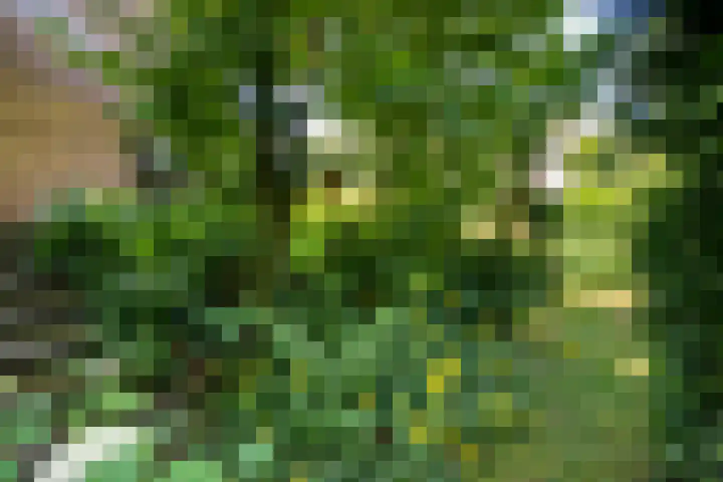 Beelaertslaan 47 Oosterbeek thumbnail 50