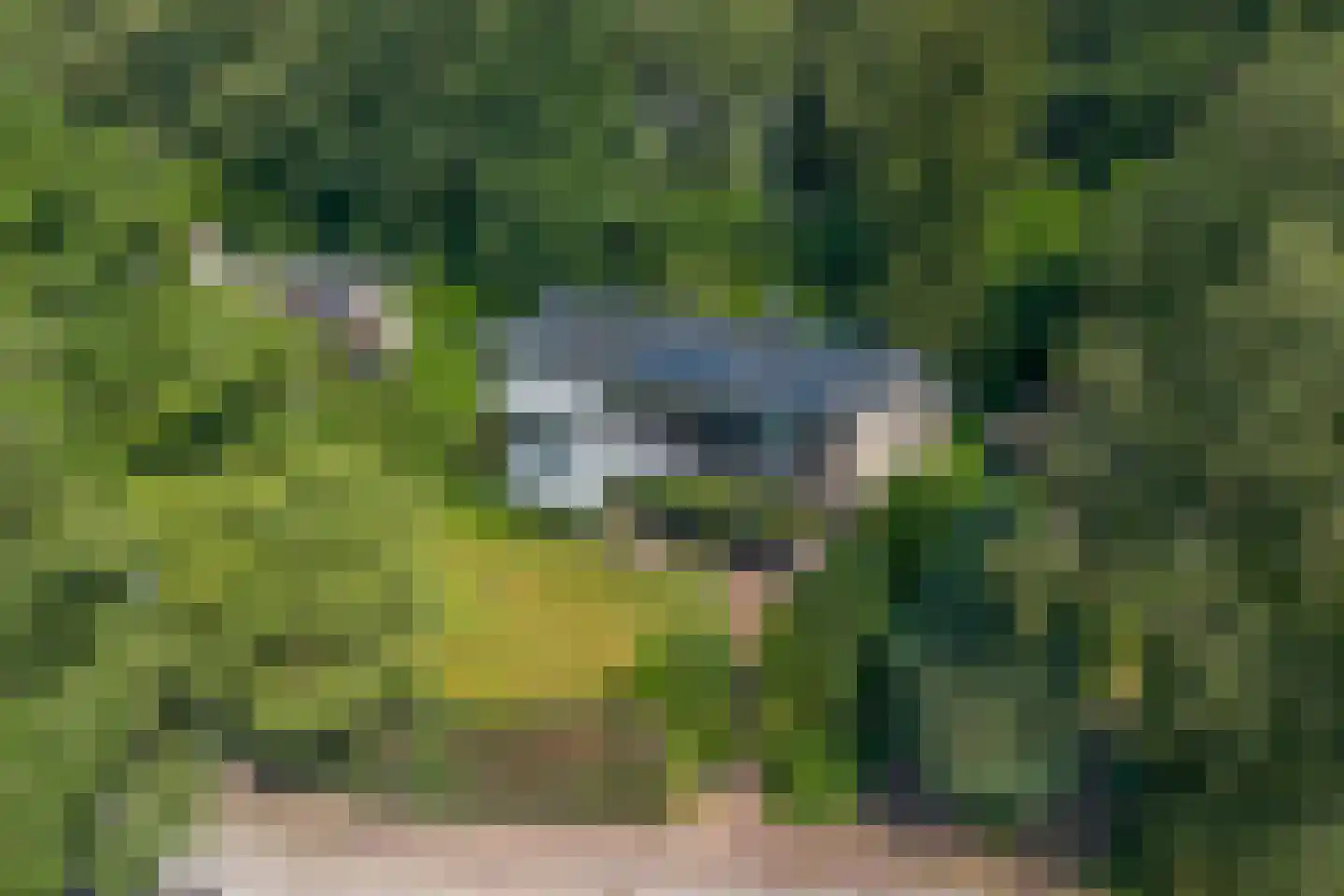 Beelaertslaan 47 Oosterbeek thumbnail 55