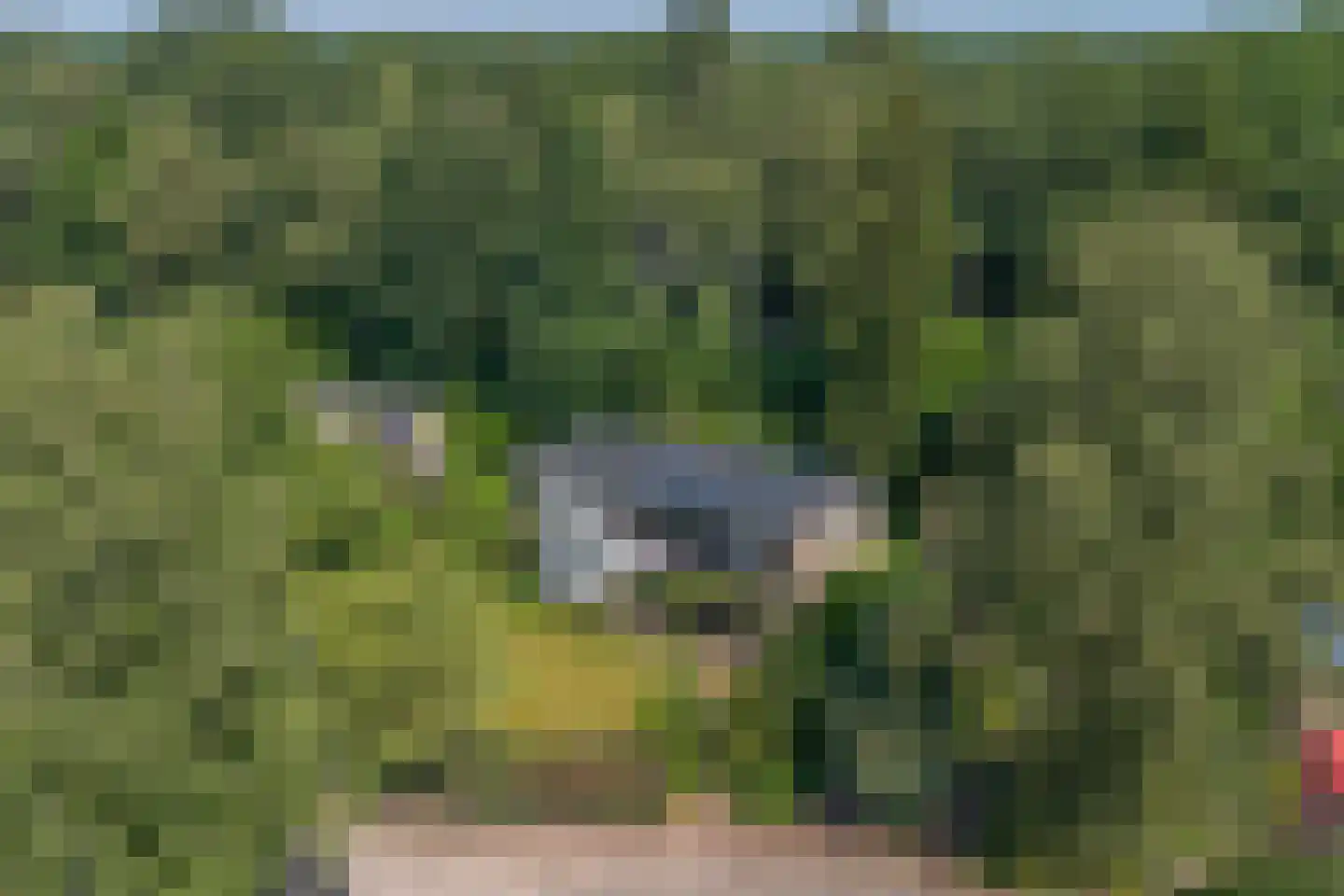 Beelaertslaan 47 Oosterbeek thumbnail 56