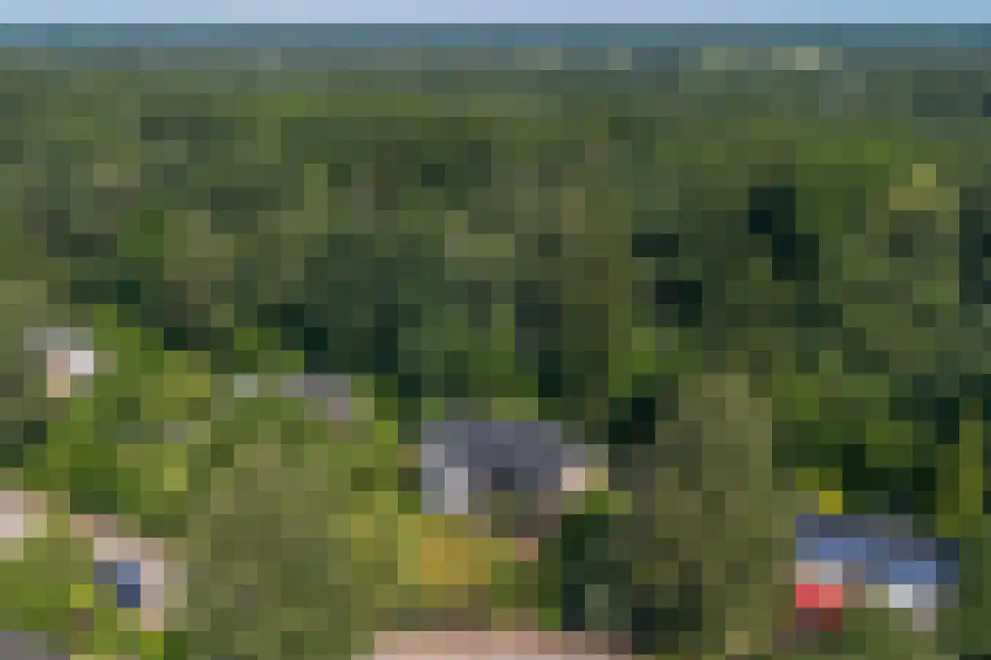 Beelaertslaan 47 Oosterbeek thumbnail 57