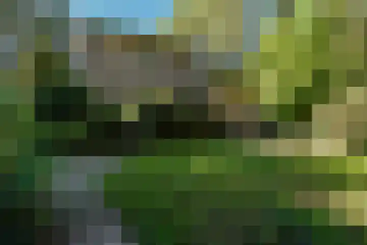 Beelaertslaan 51 Oosterbeek thumbnail 28