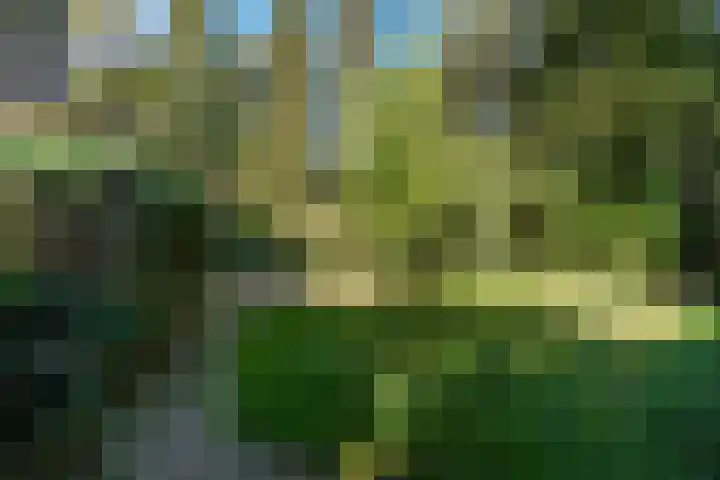 Beelaertslaan 51 Oosterbeek thumbnail 29