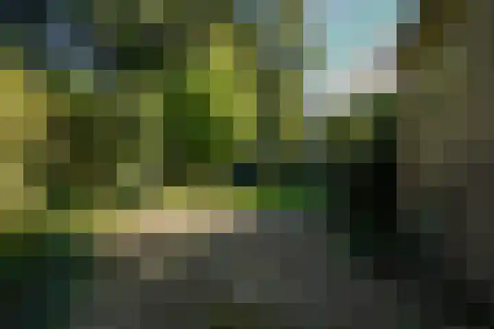 Beelaertslaan 51 Oosterbeek thumbnail 30