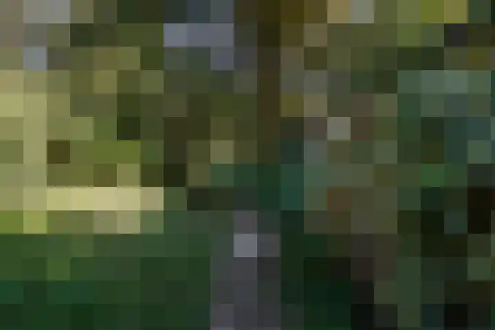Beelaertslaan 51 Oosterbeek thumbnail 31