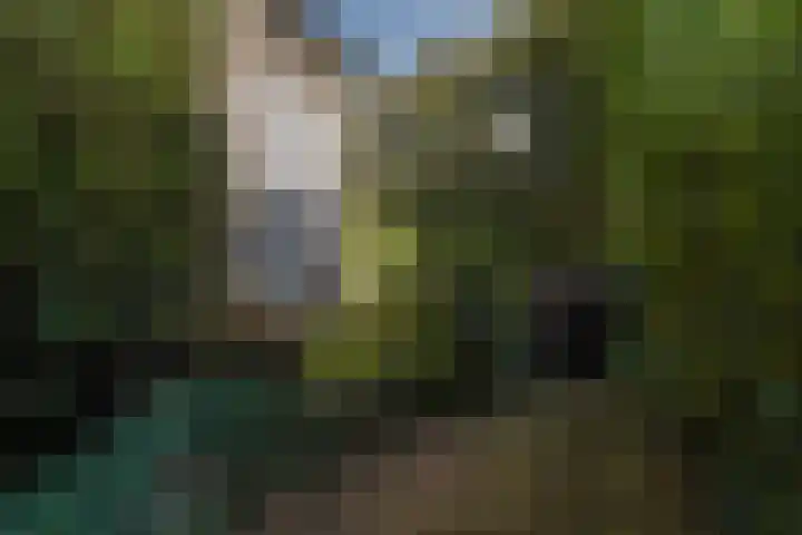 Beelaertslaan 51 Oosterbeek thumbnail 34