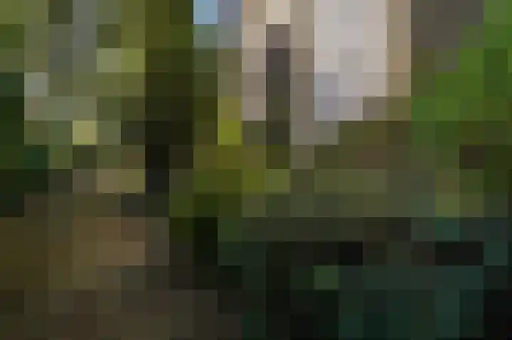 Beelaertslaan 51 Oosterbeek thumbnail 35